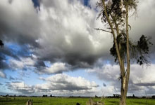 韦尔成为历史第三位单场100%命中率、0失误且取得两双数据的新秀球员.