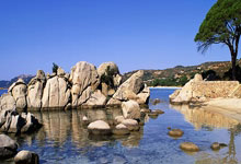 悠闲！今晚战国足，澳大利亚官推晒照：全队在杭州漫步.